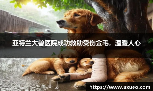 熊猫体育